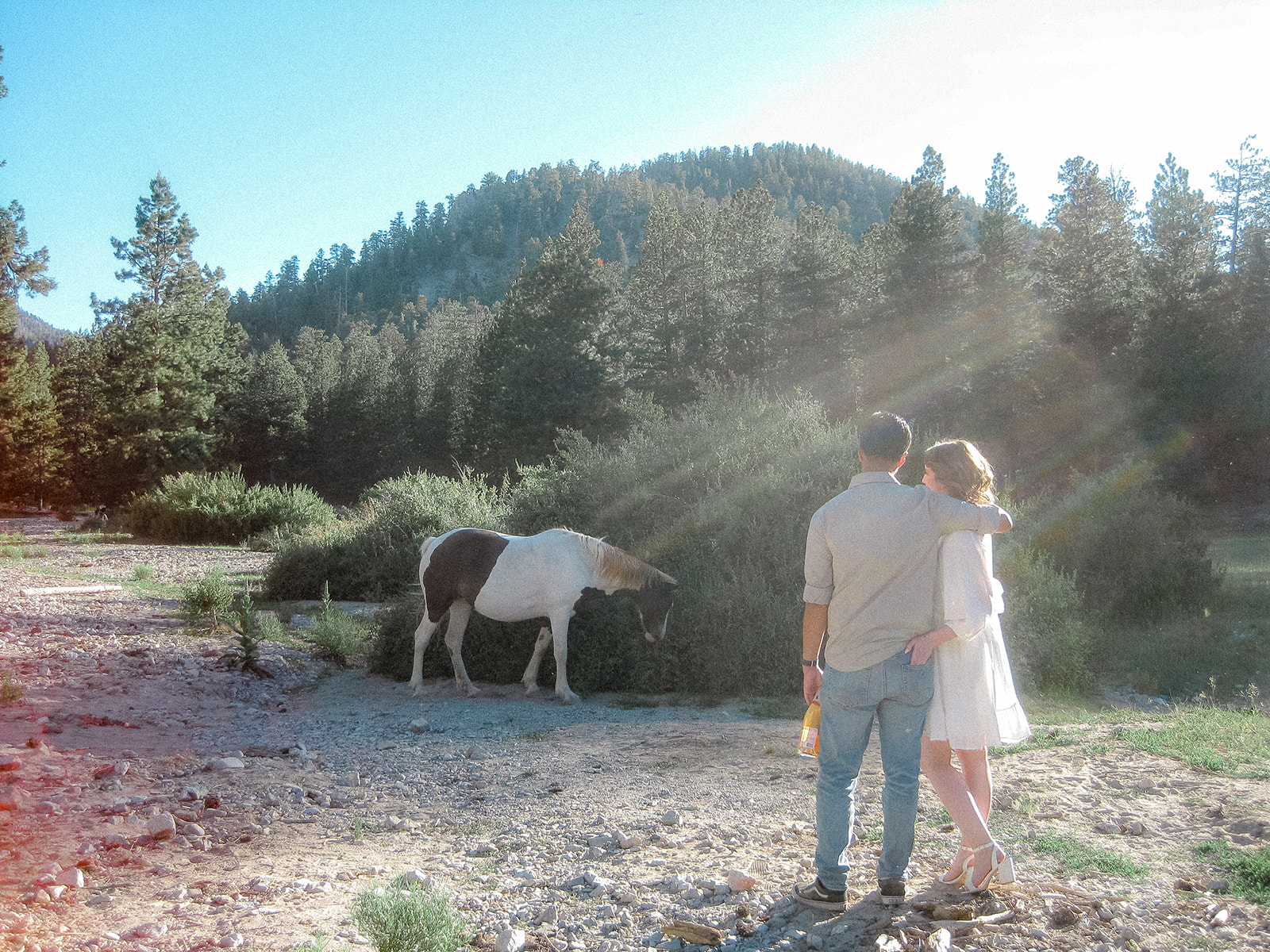Stephanie & Francisco’s Adventurous Mount Charleston Engagement Session