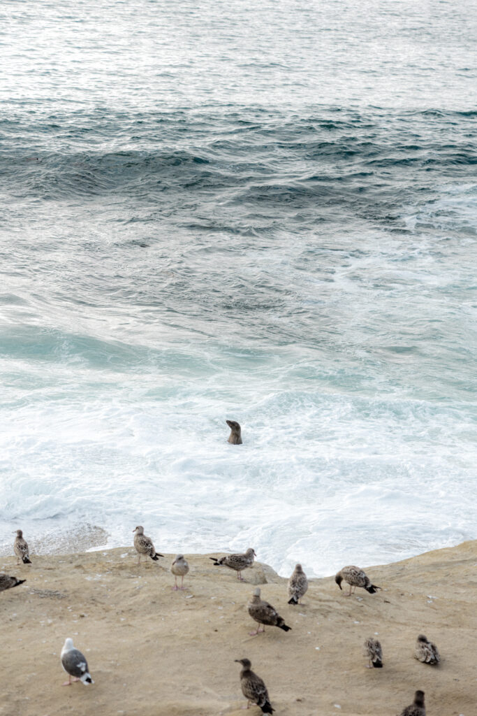 cripps Seaside Forum Modern Beach Wedding Venue