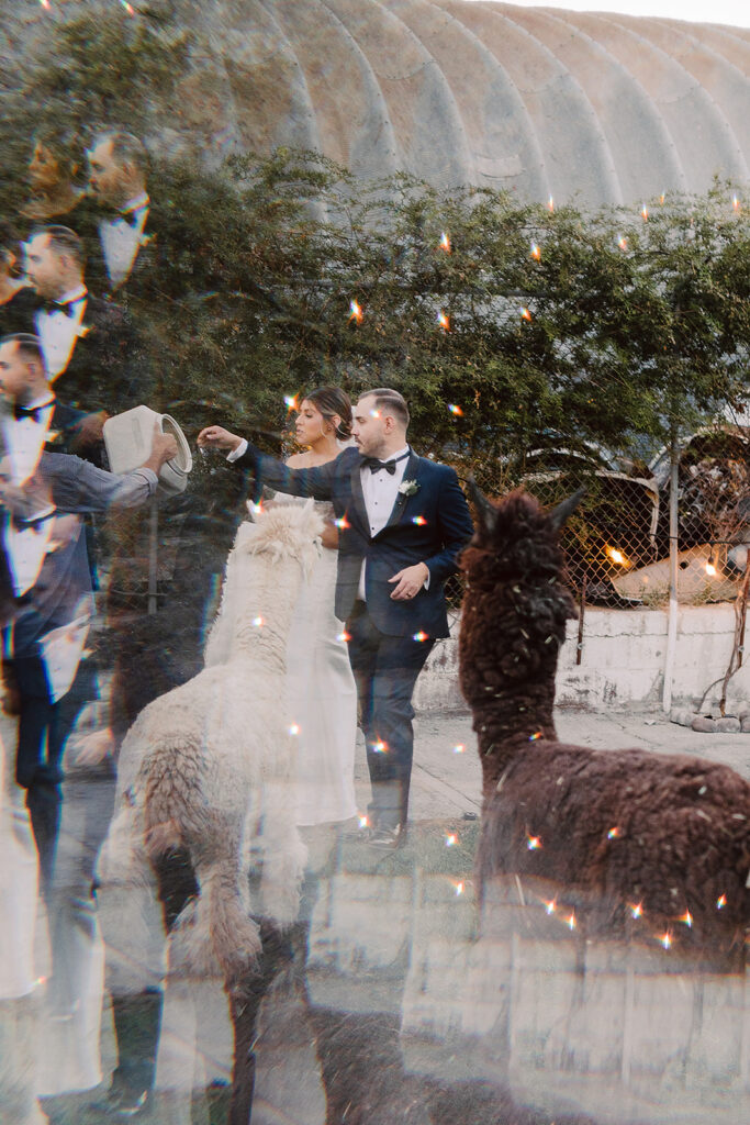 Modern Meets Timeless at This Stunning Wedding at The Doyle