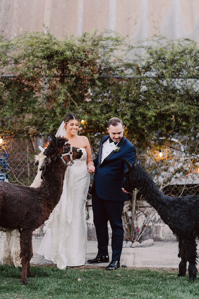 couple before heading to their dream reception party