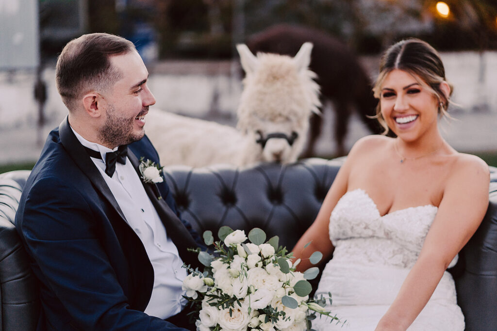 Modern Meets Timeless at This Stunning Wedding at The Doyle